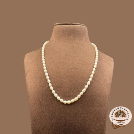 Simple Single Pearl Necklace