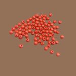 Precious Zero Size Coral 1 - Image 2